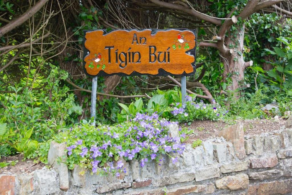 Vila An Tigin Bui Glanbannoo Upper Exteriér fotografie